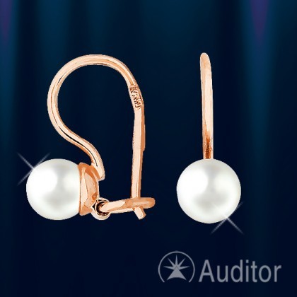 http://www.auditor585.de/uploads/shop/icons_thumbnails/big/921dacfdcaf62290b5afd6faa91c5336.jpg