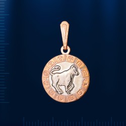 Sternzeichen Rot/Weissgold 585° 