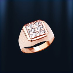 Herrenring, bicolor