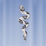 Anhaenger Russische Silberschmuck