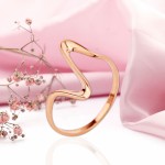 Ring Rotgold 585 kaufen