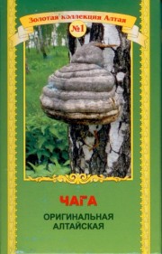 ЧАГА оригинальная Алтайская