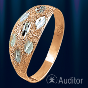 Ring Rotgold & Weissgold