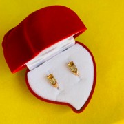 Vergoldete Silberohrringe 925º mit Bernstein in Deutschland kaufen